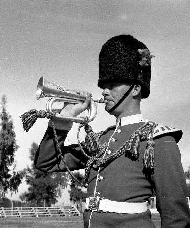 Images/1 LF -Uniforms 1950370.jpg